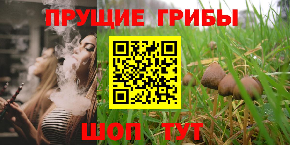 Челябинск  Галлюциногенные грибы Psilocybine cubensis  Вход с VPN  Псилоцибиновые грибы GOLDEN TEACHER 